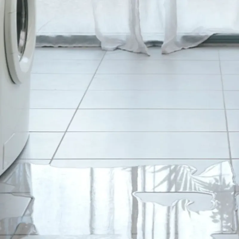 Appliance Leak Cleanup in Accomack County, VA