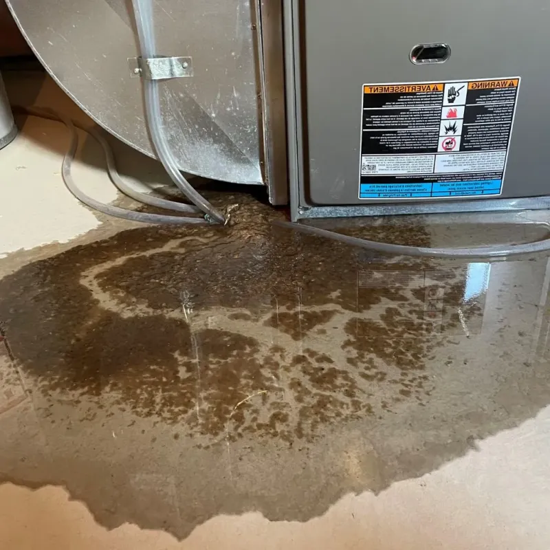 Pipe Burst and Leak Restoration in Accomack County, VA